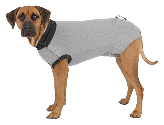 TRIXIE OP-Body, grau
