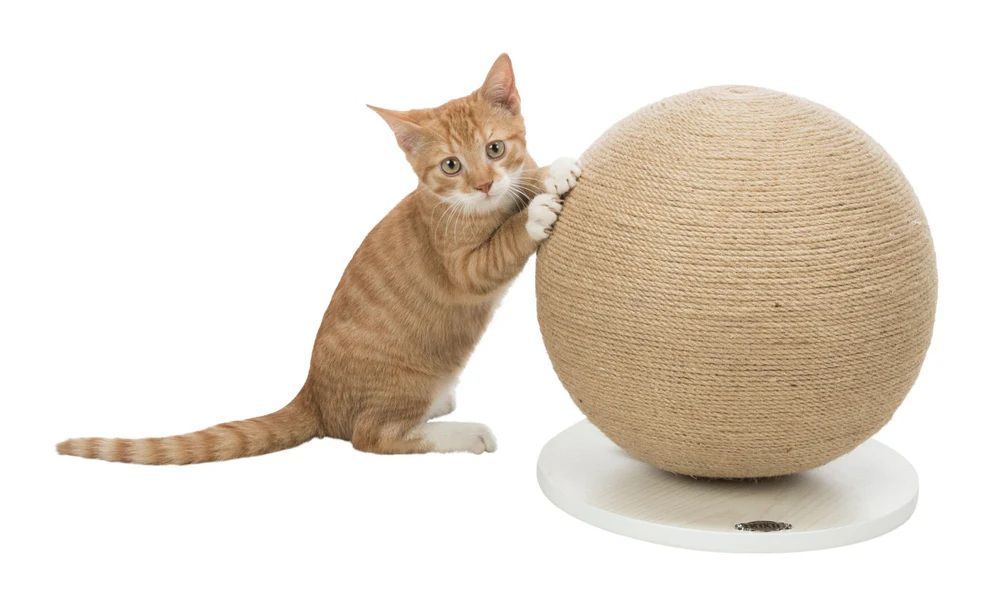 TRIXIE Kratzball auf Platte, Jute/Holz, ø 29 × 31 cm