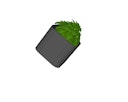 WWOO Designbeton-Outdoorküche Eni