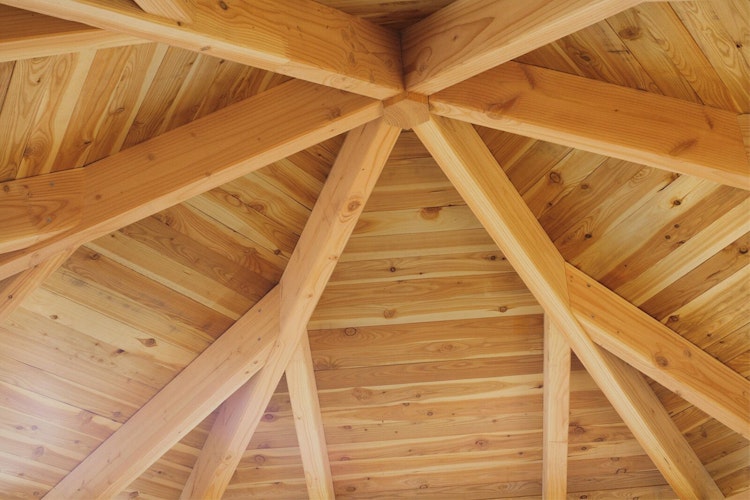 Skan Holz Pavillon Colmar