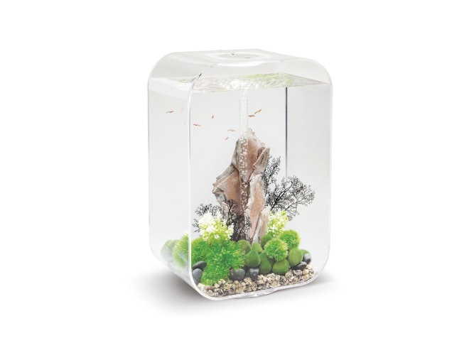 BiOrb Aquarium LIFE 60 MCR