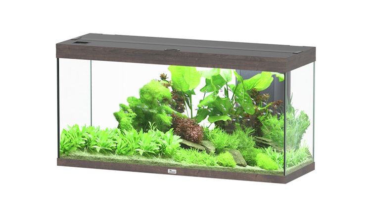 Aquatlantis Splendid 240 Wildeiche Dunkel Aquarium-Set