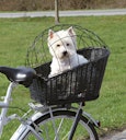 TRIXIE Hundekorb für Fahrrad-Gepäckträger 35x49x55cm schwarz