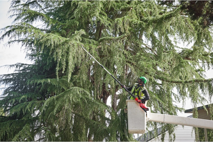 Milwaukee M18FTPS30-121 M18 FUEL™ Akku-Teleskop-Astsäge 4933499227