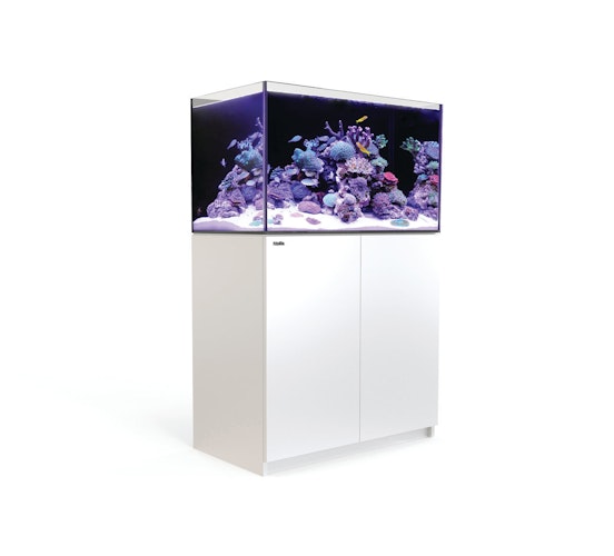 Red Sea REEFER™ 250 System G2+
