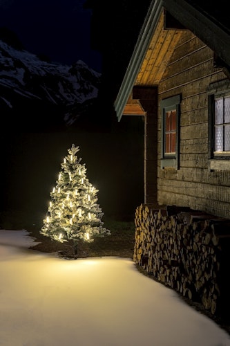 Konstsmide Weihnachtsbeleuchtung LED Baumkette, Topbirnen, One String, 25 warmweisse SMDLEDs