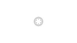 TRW Bremsscheibe MST248 mit Zulassung