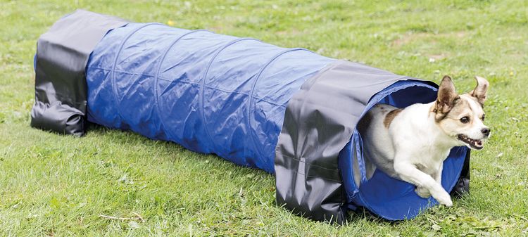 TRIXIE Fun Agility Mini Tunnel, ø 40 cm/2 m, blau