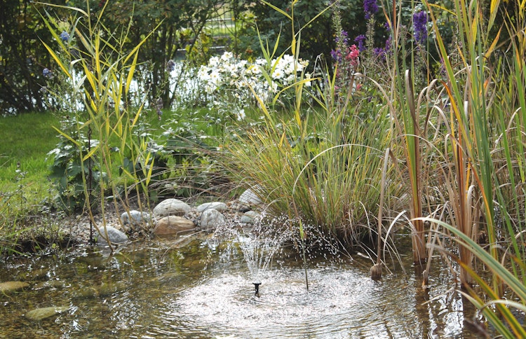 Pontec Solar-Wasserspielset PondoSolar 150