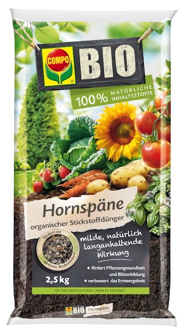mühlenbeckia variegata 3er Box Drahtstrauch Mühlenbeckia – Green Me Up