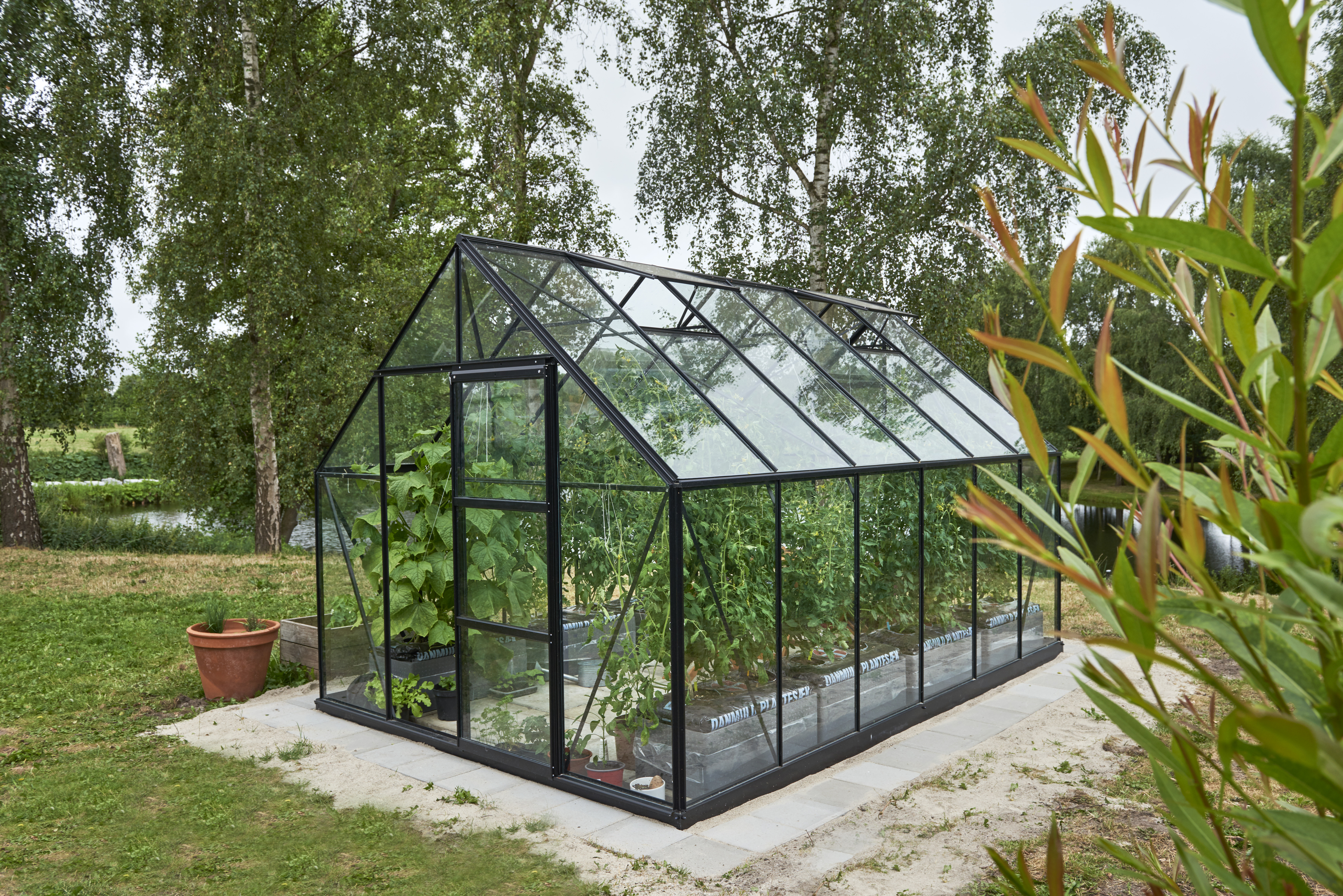 Halls Gewächshaus Universal SET- 9,9 m²  3,84 x 2,57 m - 9,9 m² 3 mm Sicherheitsglas schwarz