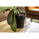 Vorschaubild Plant Pot Floora
