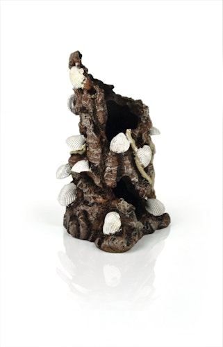 biOrb Muschelbaumstumpf Ornament weiß (46146)