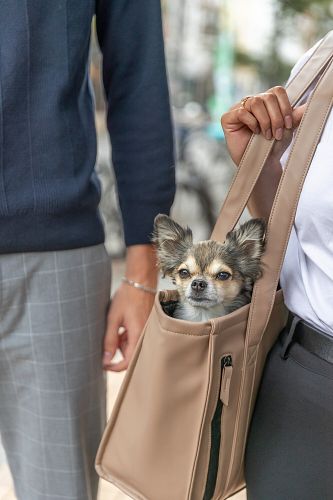 TRIXIE Tasche CityStyle, 40 × 20 × 30 cm, cappuccino