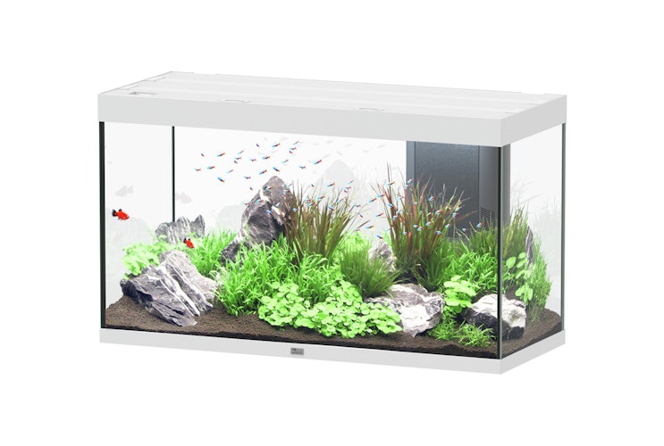 Aquatlantis Sublime 335 120x50cm Aquarium mit Unterschrank