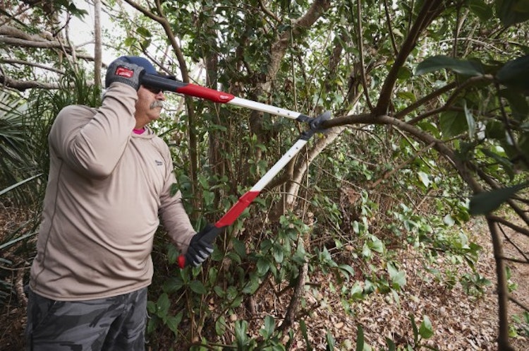 Milwaukee Bypass Astschere 50 mm 4932498625