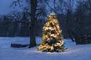 Vorschaubild Konstsmide Weihnachtsbeleuchtung  Micro LED Büschellichterkette 11536 bernsteinfarbene Dioden