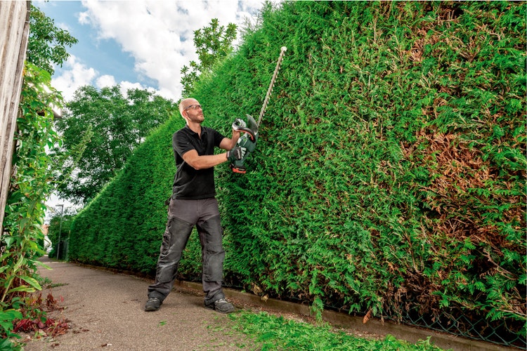 Metabo Akku-Heckenschere AHS 18-55 V