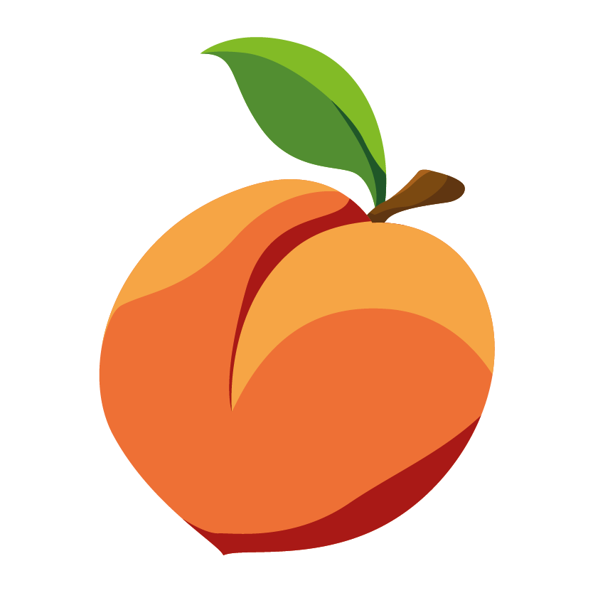 micr_icon_pfirsich