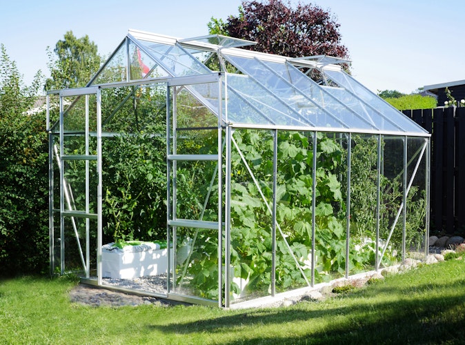 Vitavia Gewächshaus Uranus 9900 inkl. 4 Dachfenstern - 9,9 m²