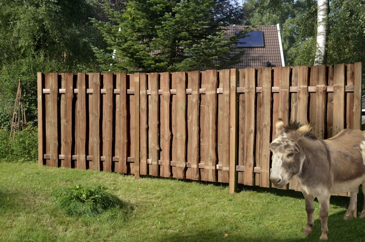 T&J SEELAND-Serie Sichtschutz 1800 x 900 mm