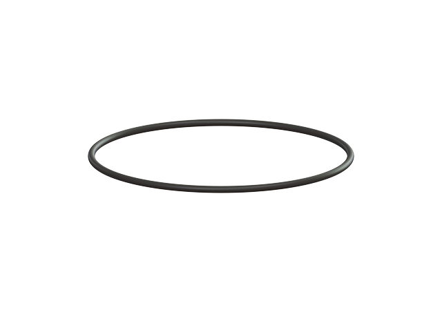 Kessel 680120 - O-Ring 175x5 mm