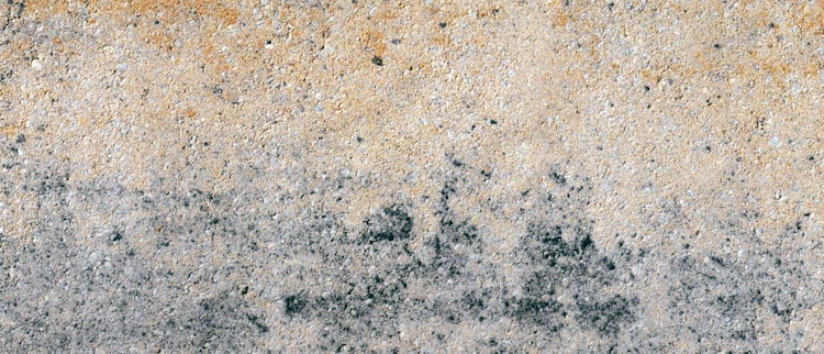 Diephaus Mauerstein LISCO KOMBI MUSCHELKALK 80/12,5/12,5 CM