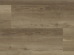 Muster Strong SPC Hainich 280x160