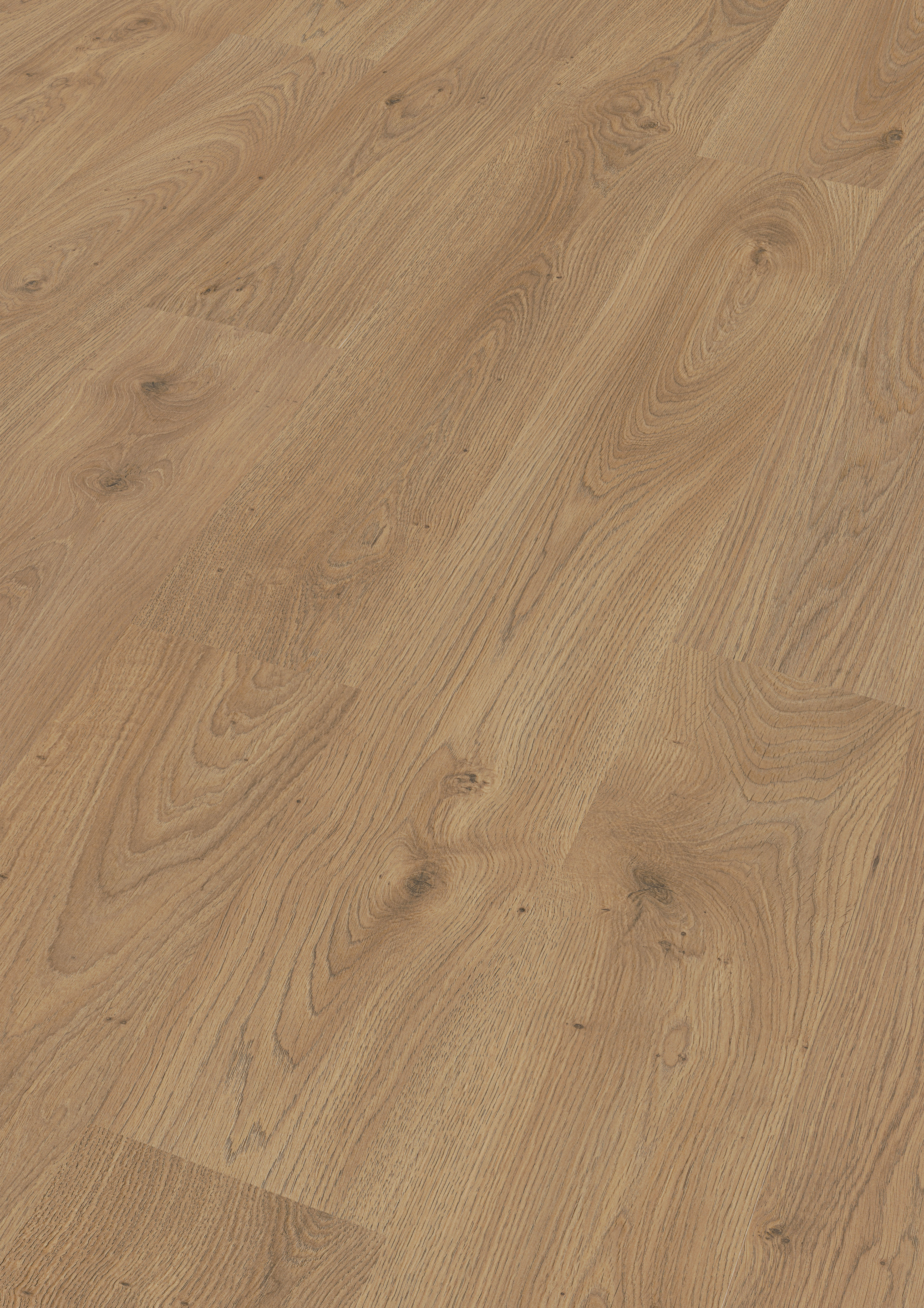 MEISTER Laminatboden MeisterDesign. laminate LC 150 1288 x 198 x 8 mm 07149 Eiche Chianti Porensynchron-Struktur
