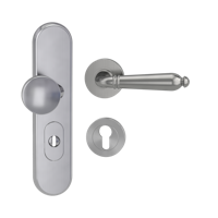 Griffwerk Kombi-Schutzbeschlag TITANO SB_882 mit Griff CAROLA 72mm Zylinderabdeckung Tür 38-50mm R CAROLA Samtgrau