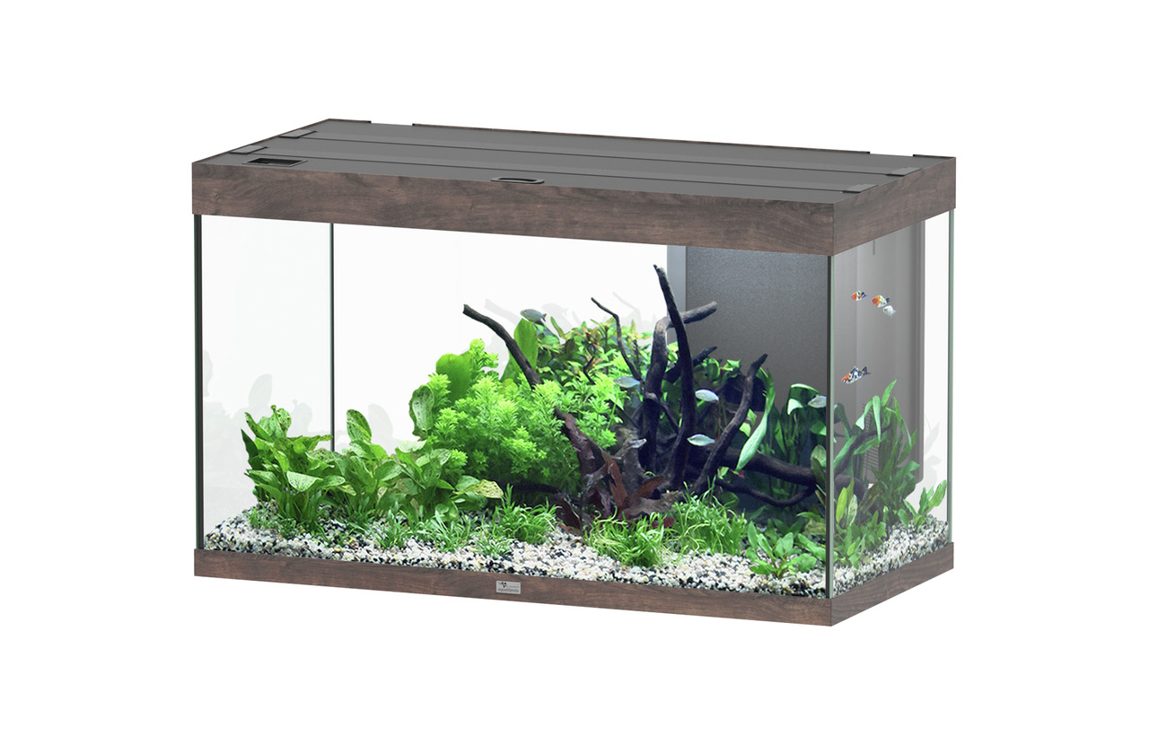 Aquatlantis Sublime 245 Wildeiche Dunkel Aquarium-Set