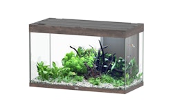 Aquatlantis Sublime 245 Wildeiche Dunkel Aquarium-Set