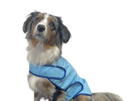 NOBBY Kühl-Weste / Bademantel "Comfort"