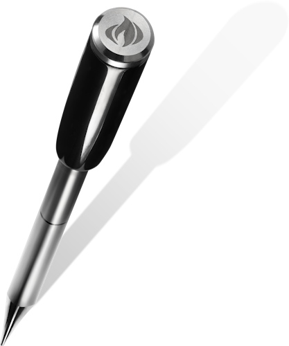 Napoleon ACCU-PROBE PRO X, Kabelloses Bluetooth-Fleischthermometer