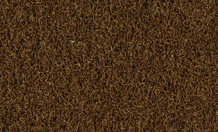 Tetra Delica Mückenlarven 100ml
