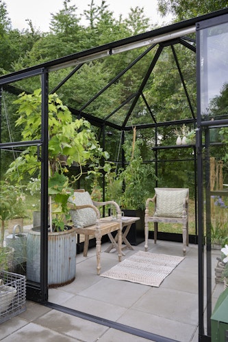 Halls Gewächshaus Qube Square - 6,3 m²