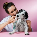Vorschaubild Tierliebhaber Dentalspray für Hunde