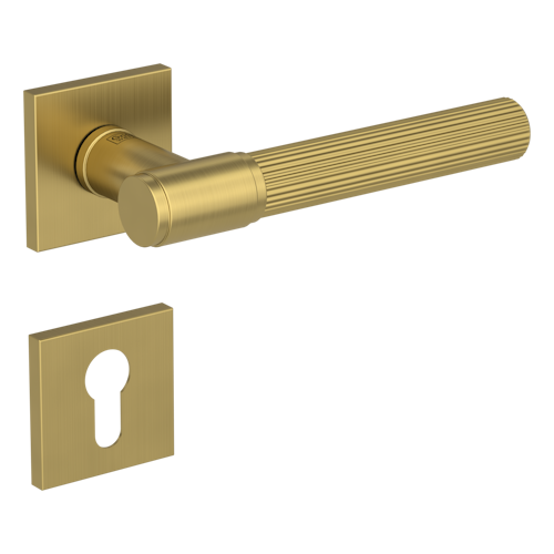 Griffwerk VAYA 136 ARIS fast2fix Fast2Fix Rosetten eckig Profilzylinder Gold matt