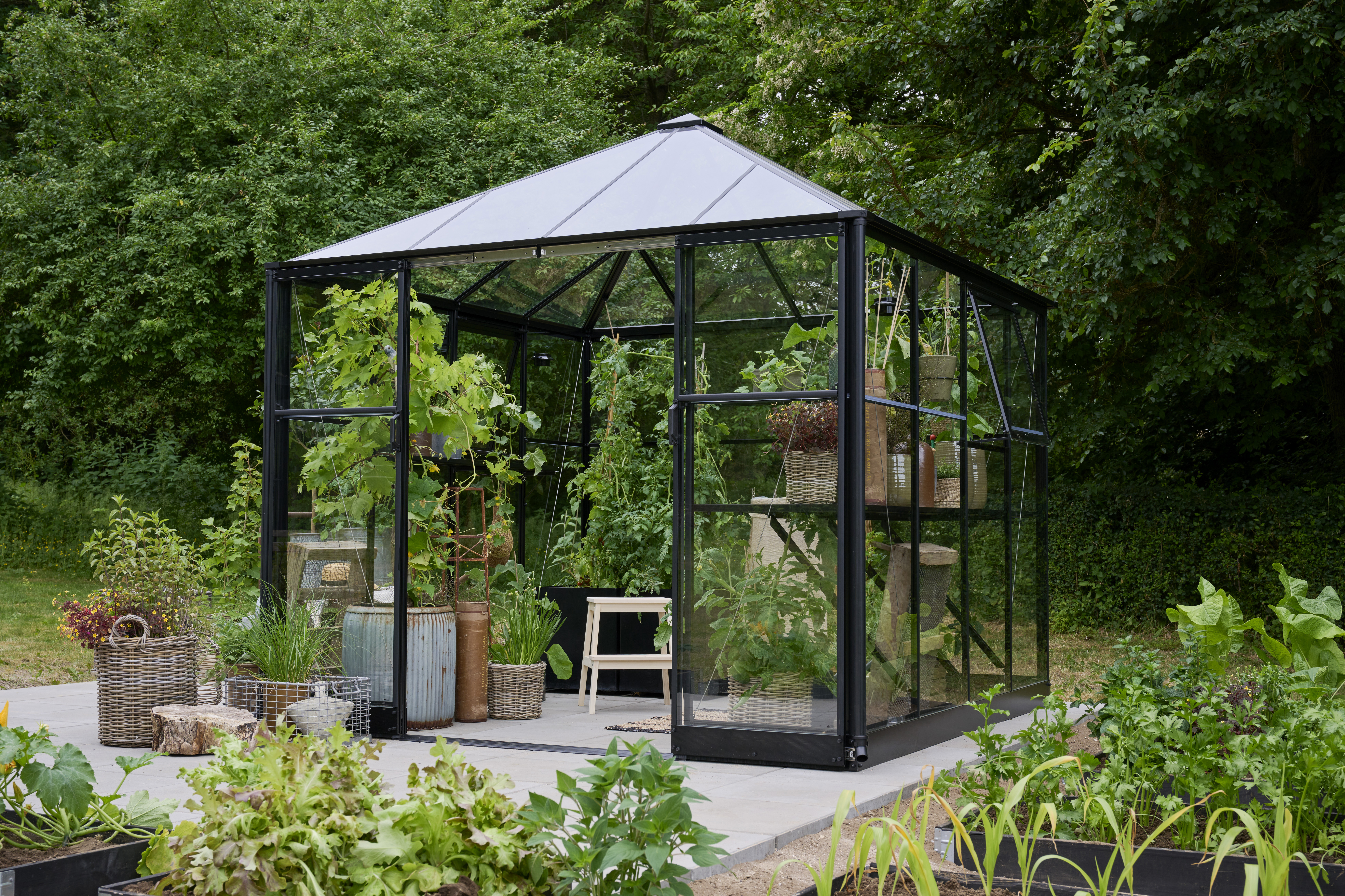 Halls Gewächshaus Qube Square - 6,3 m² 2,51 x 2,51 m - 6,3 m² 3 mm Sicherheitsglas schwarz