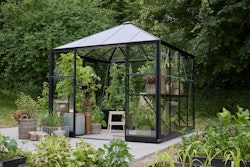 Halls Gewächshaus Qube Square - 6,3 m² 2,51 x 2,51 m - 6,3 m² 3 mm Sicherheitsglas schwarz