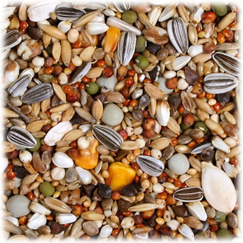 JR FARM Papageien-Schmaus 1kg Vogelfutter