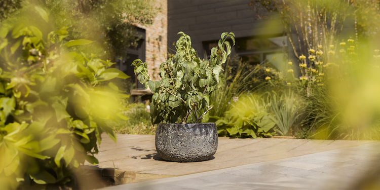 Plant Pot Aatami schwarz antik