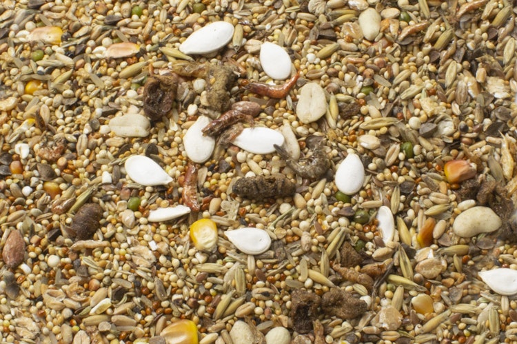 JR FARM Zwerghamster-Schmaus 600g Kleintierfutter