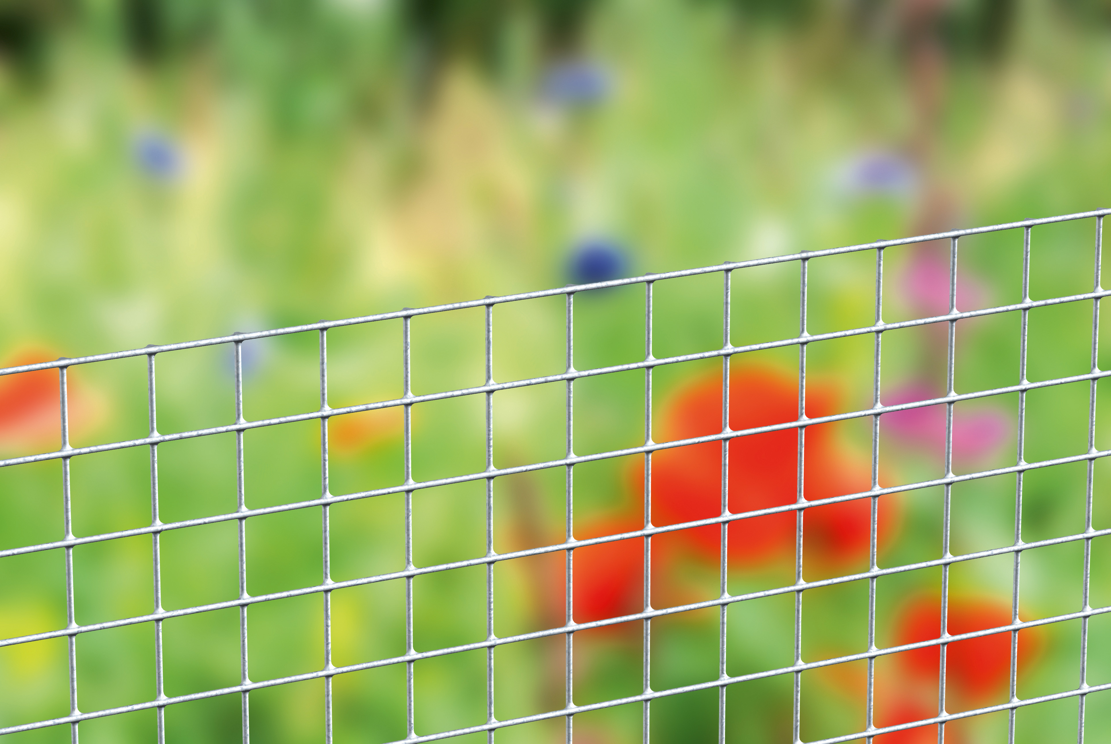 Alberts® Alberts® Schweißgitter 1000 mm 12,7x12,7 mm Grün