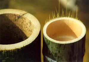 aMbooo_Hochland_Bambus