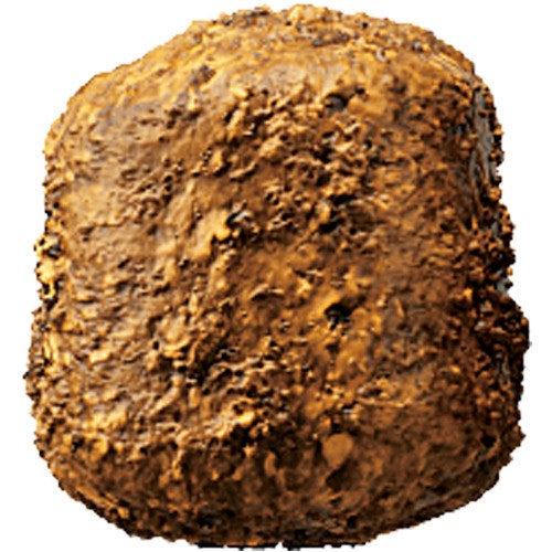 Josera Puppy Family Plus Hundetrockenfutter