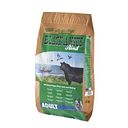 Vorschaubild Markus-Mühle Black Angus Adult