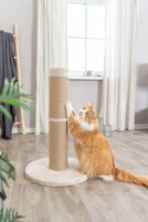 TRIXIE Kratzstamm XXL Rue, 80 cm, beige