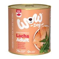 Lachs mit Tomaten Varianten Bild