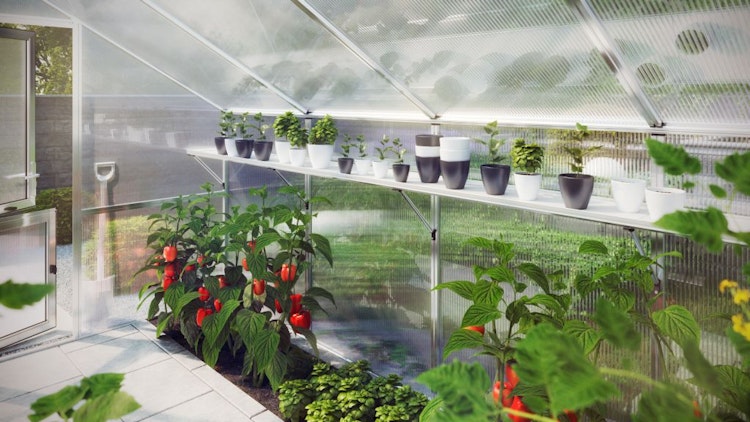 KGT Hängeborde für Gewächshäuser